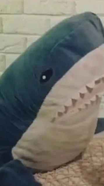 ai character: mistershark background