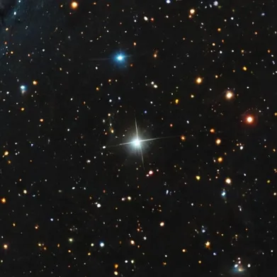 chat with ai character: Elemental District