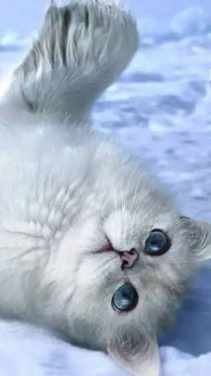 ai character: Seal cat background