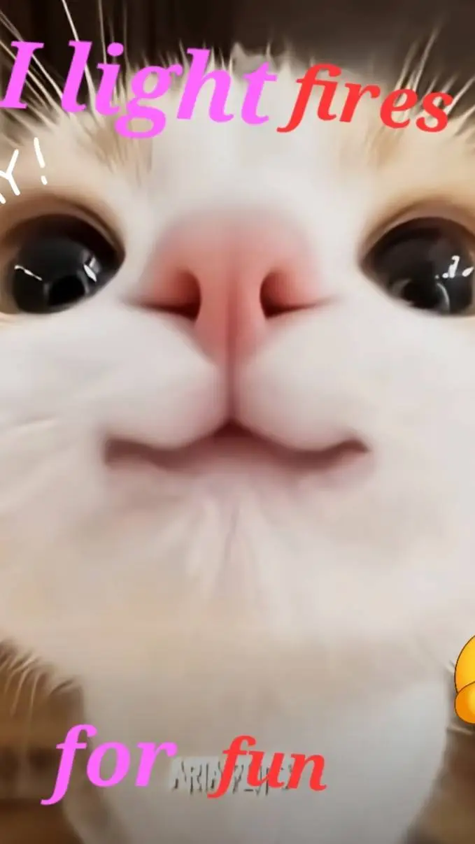 Talkie AI - Chat with lil timmmy