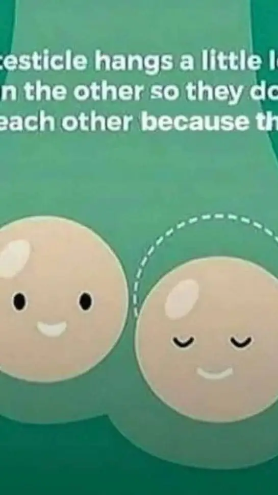 ai character: Elise background