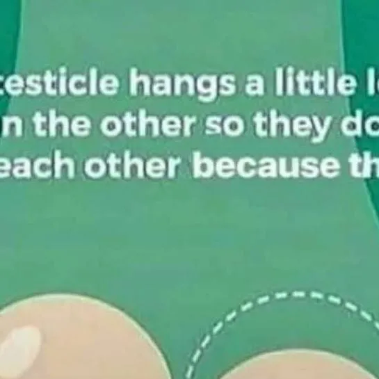 chat with ai character: Elise