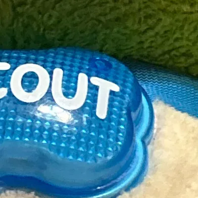 chat with ai character: Scout 