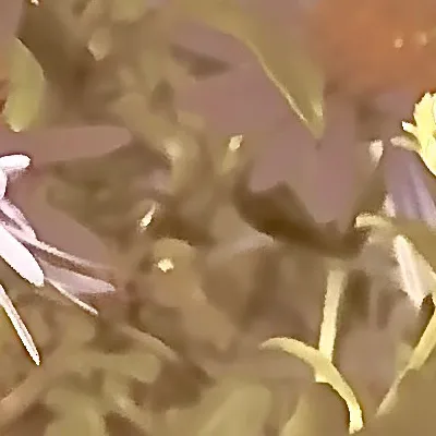 chat with ai character: Rip grandpa 