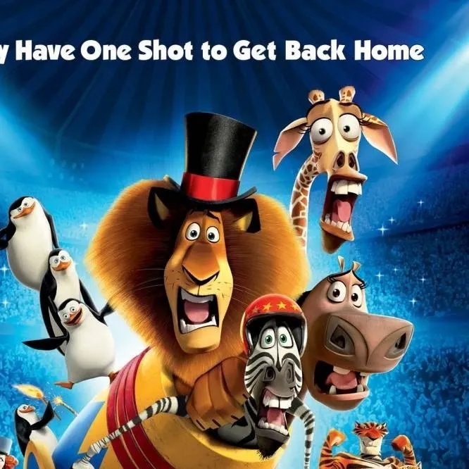 chat with ai character: Madagascar 3