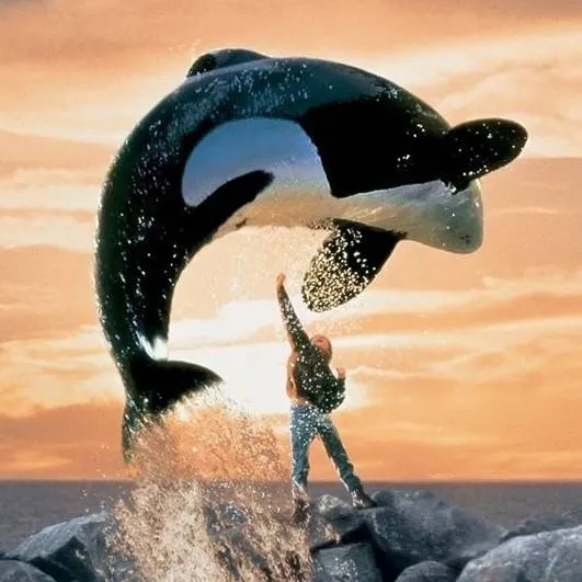 chat with ai character: Free Willy