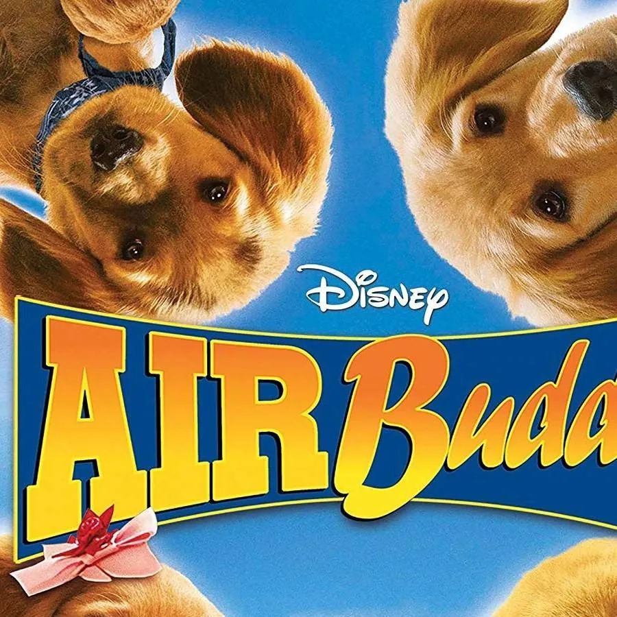 chat with ai character: Air Buddies