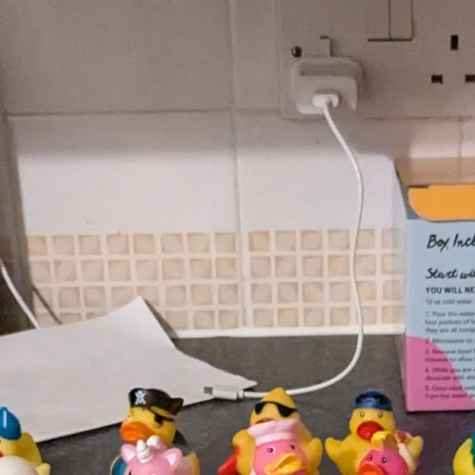 chat with ai character: the duck army 
