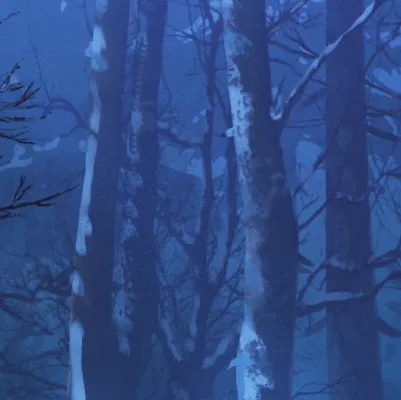 chat with ai character: Winter patrol