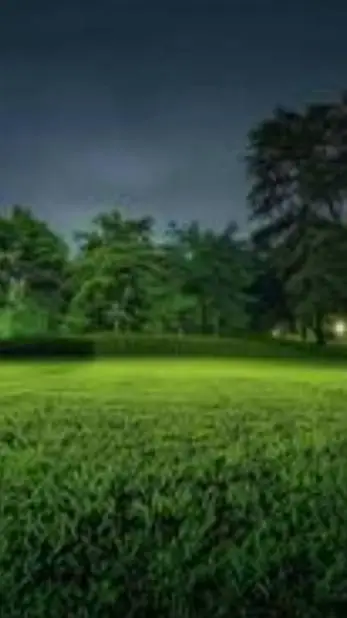 ai character: Park background