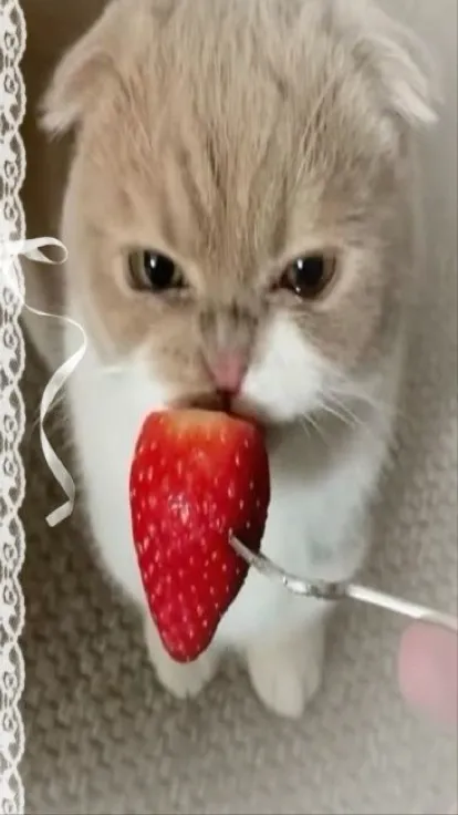 ai character: LNGSHOT X Louis background