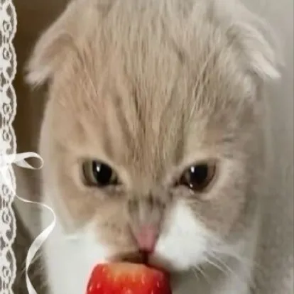 chat with ai character: LNGSHOT X Louis