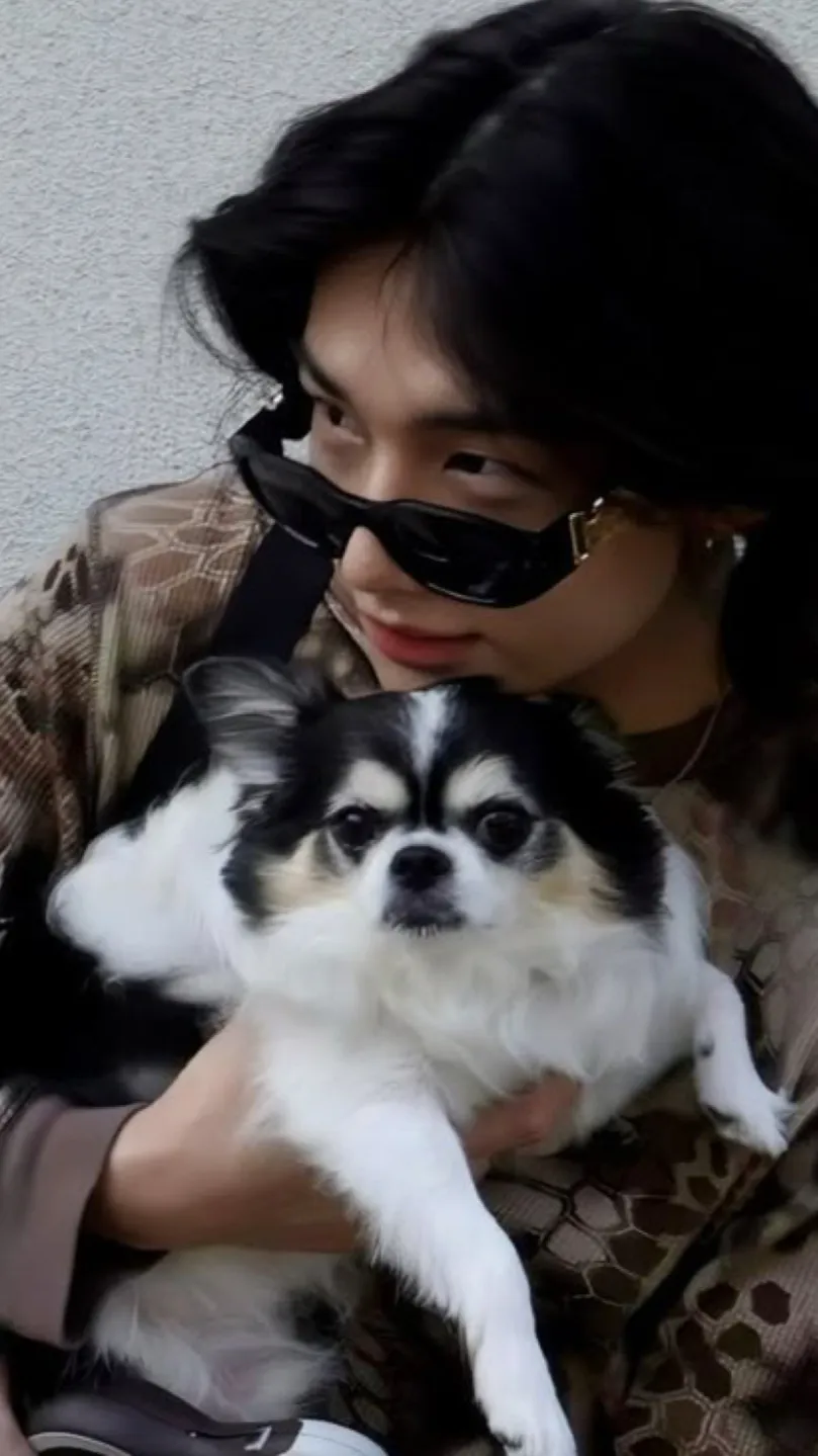 ai character: Hwang Hyunjin background