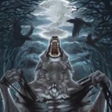 chat with ai character: 🌚MHA WOLFS🐺