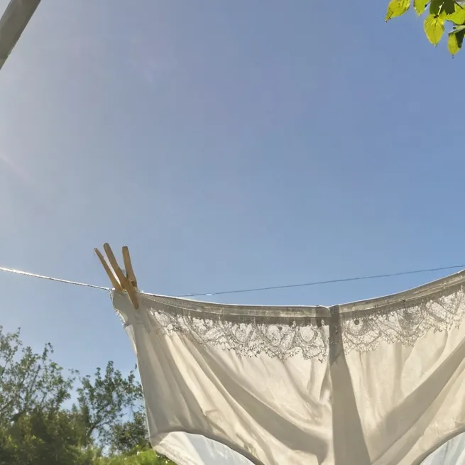 chat with ai character: Living Panties