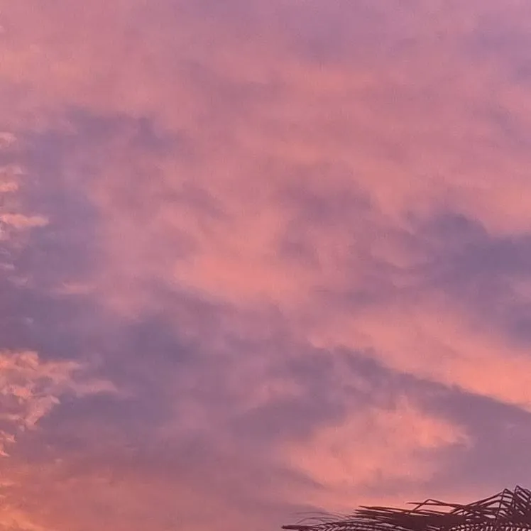 chat with ai character: a new toon..