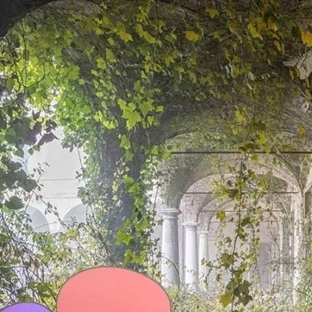 chat with ai character: 🌿 — DW Infection