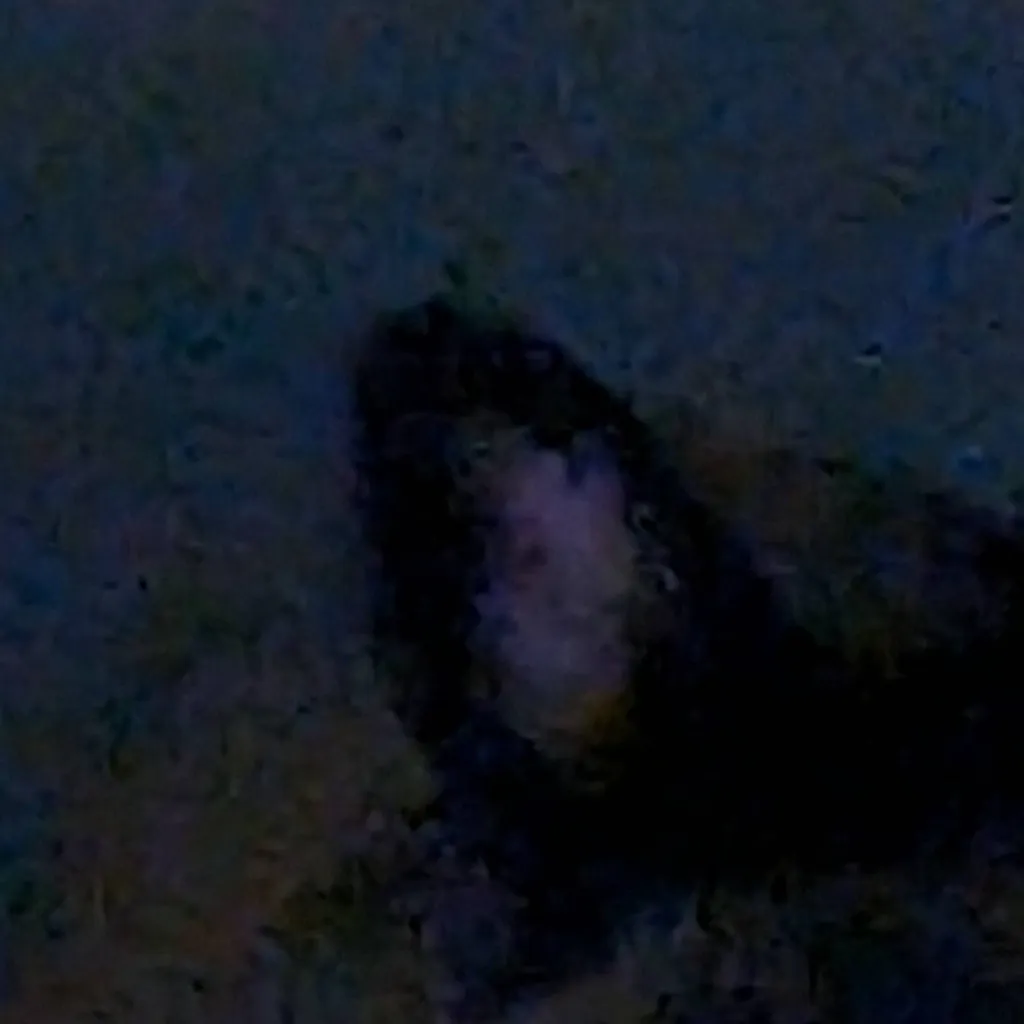 chat with ai character: asher