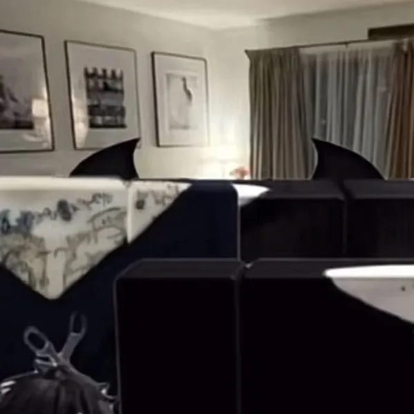 chat with ai character: All twin brothers