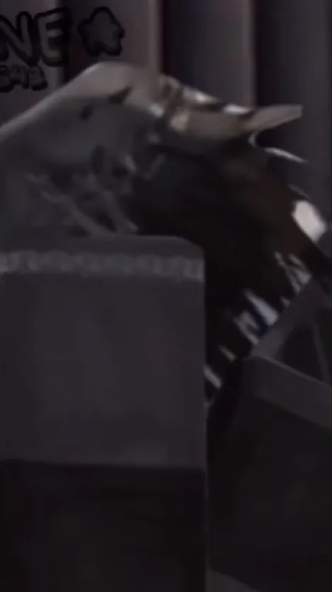 ai character: Jack background