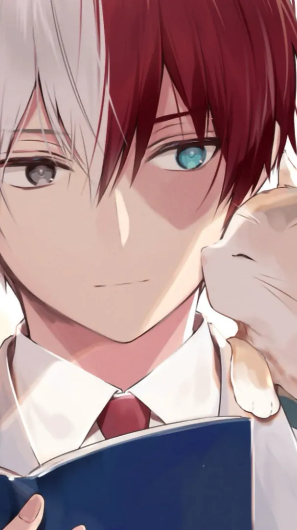 ai character: Older bro Shoto background