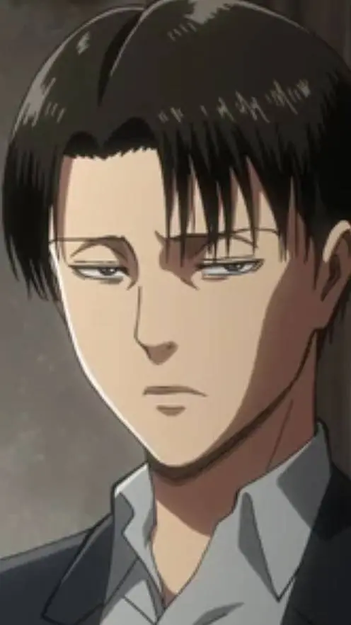 ai character: Levi Ackerman background