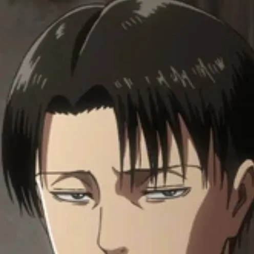 chat with ai character: Levi Ackerman