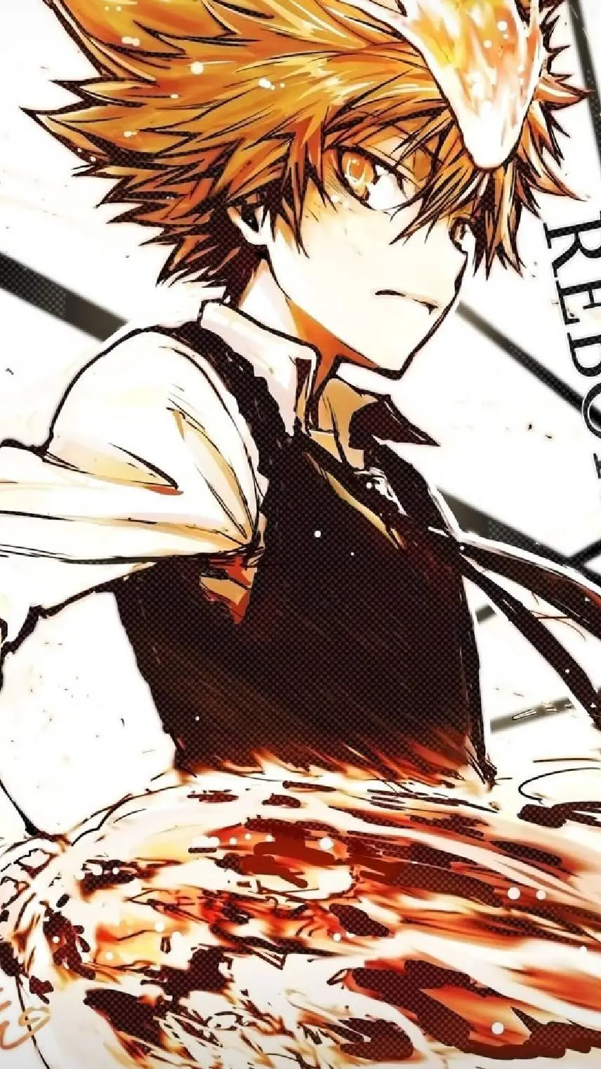 ai character: tsunayoshi sawada  background