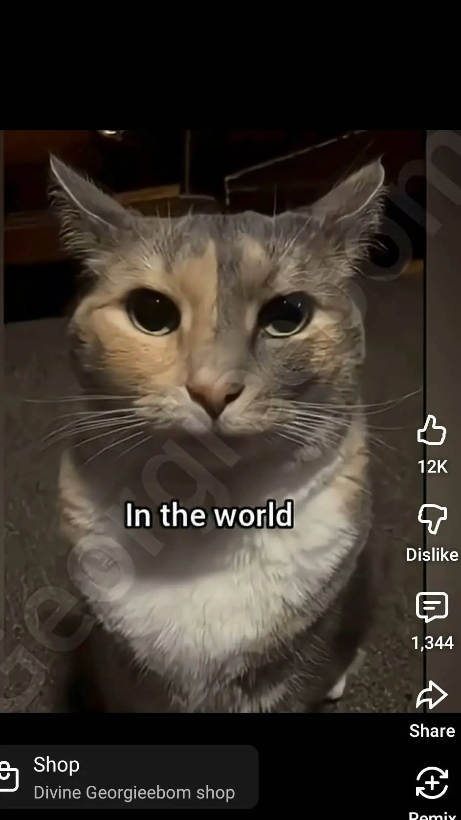 ai character: idk forSaken background