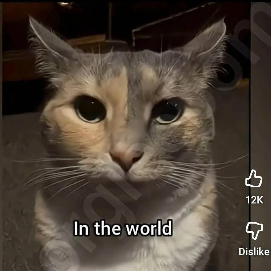 chat with ai character: idk forSaken