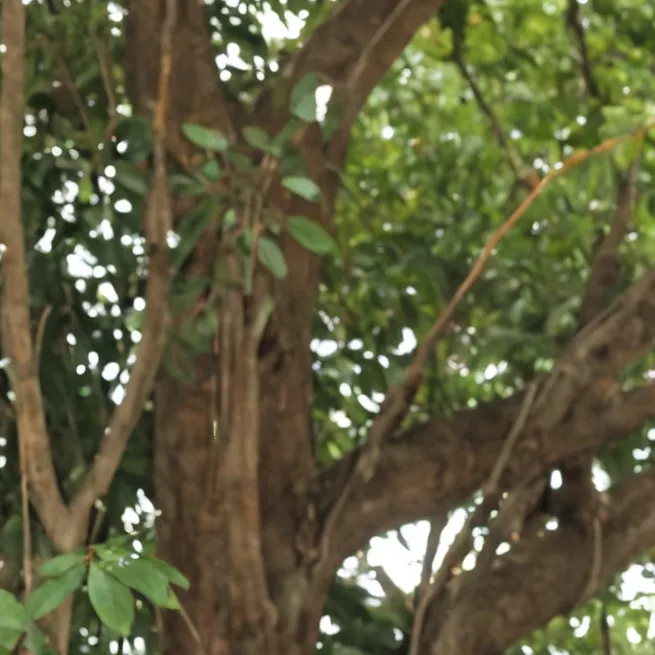 chat with ai character: Justin 