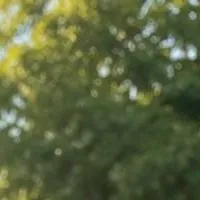 chat with ai character: Emily