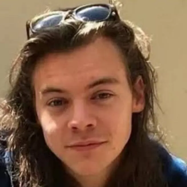 chat with ai character: Harry Styles
