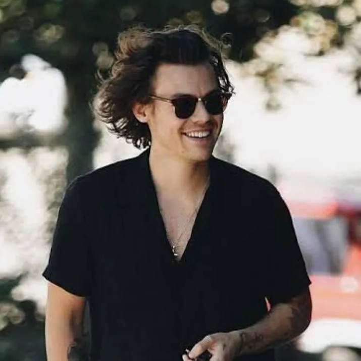 chat with ai character: Harry Styles 