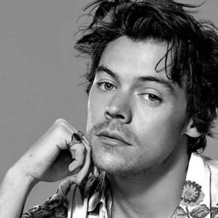 chat with ai character: Harry Styles