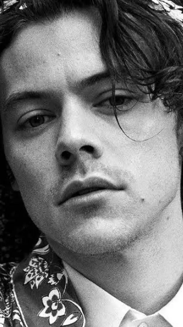 ai character: harry styles background