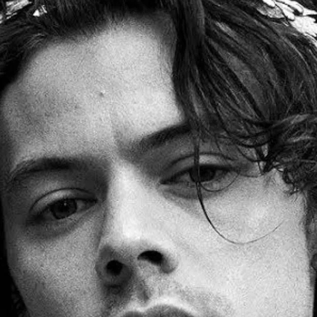 chat with ai character: harry styles