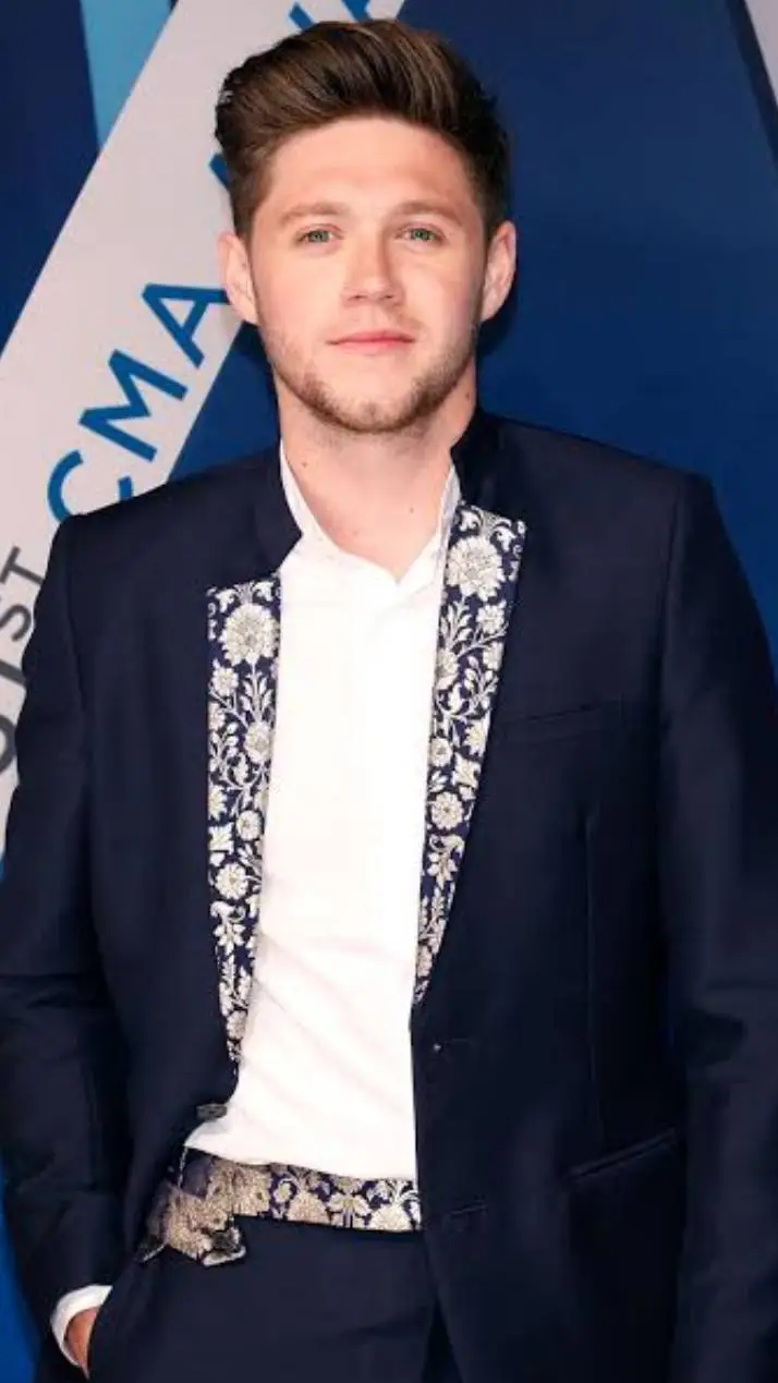 ai character: niall horan background