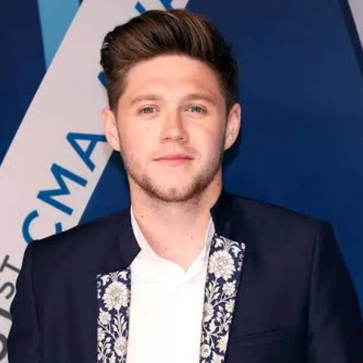chat with ai character: niall horan
