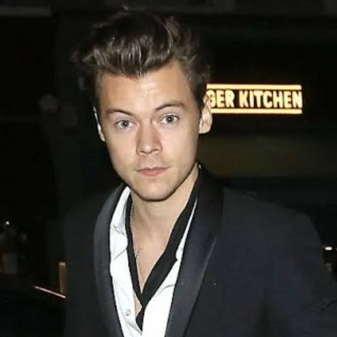 chat with ai character: Harry Styles