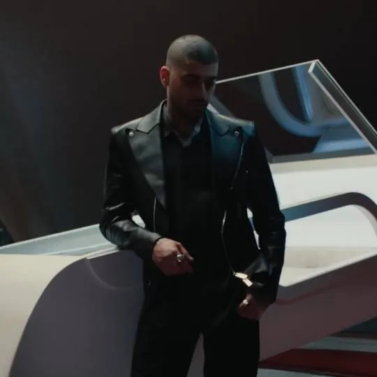 chat with ai character: ZAYN