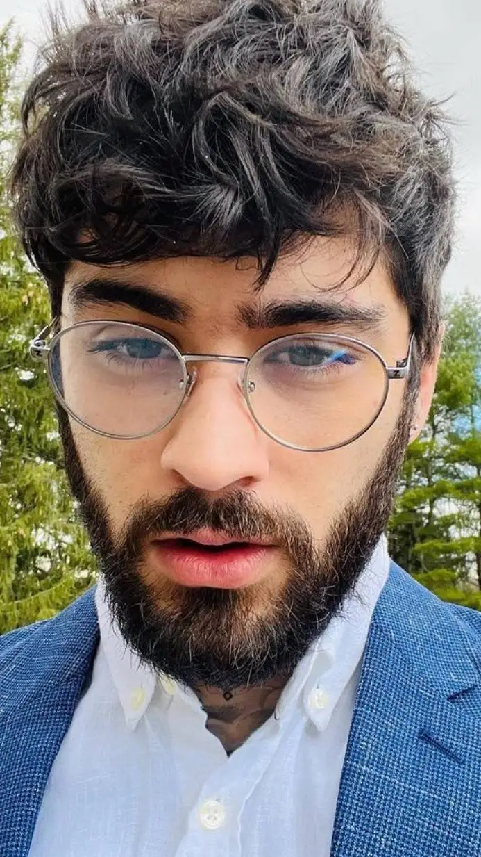 ai character: zayn malik background