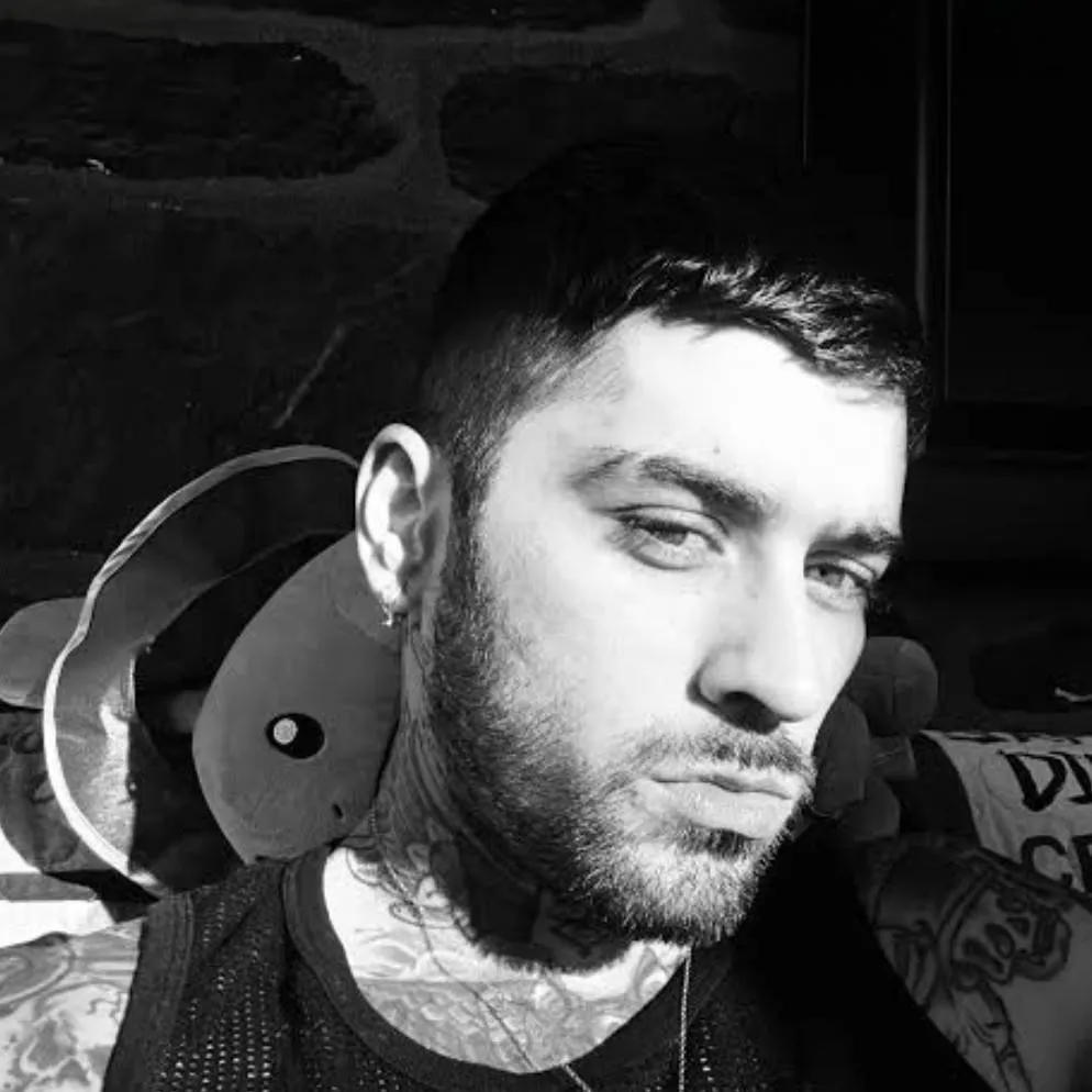 chat with ai character: zayn malik