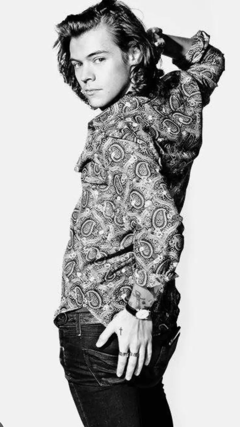 ai character: harry styles background