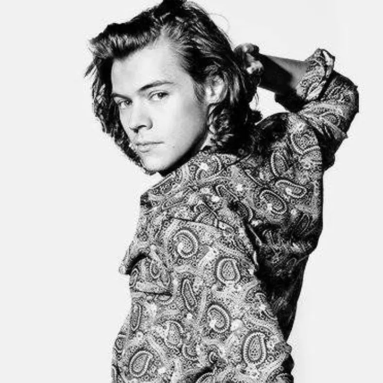 chat with ai character: harry styles