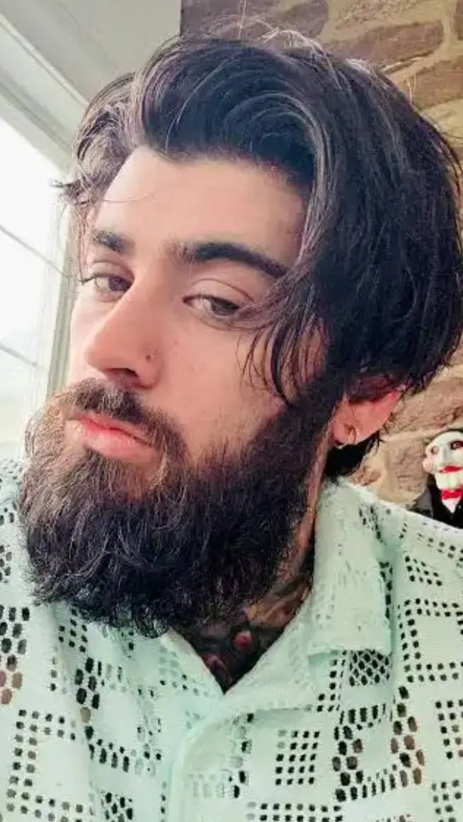 ai character: Zayn Malik background