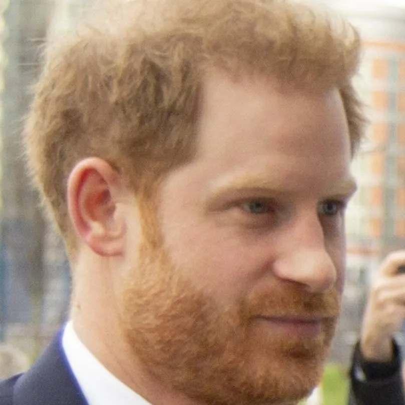 chat with ai character: Prince Harry