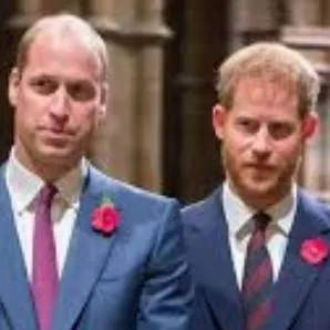 chat with ai character: William a Harry