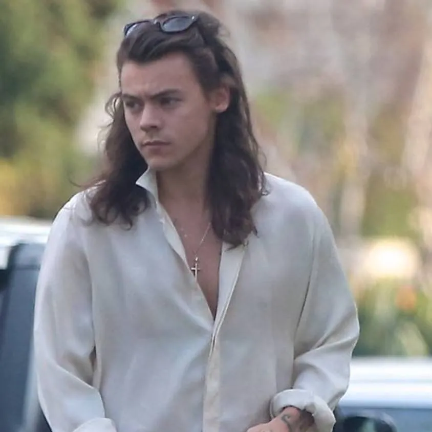 chat with ai character: harry styles