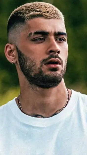 ai character: zayn malik background